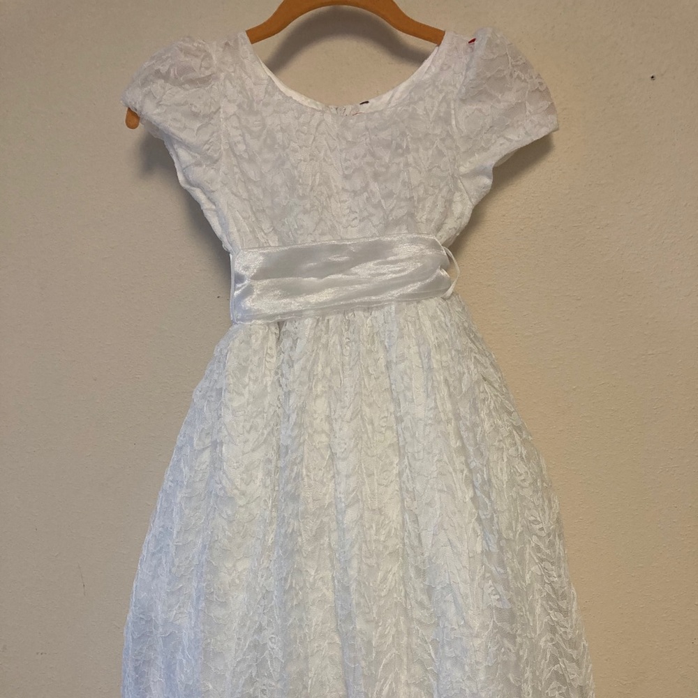 Party/ Formal Dress